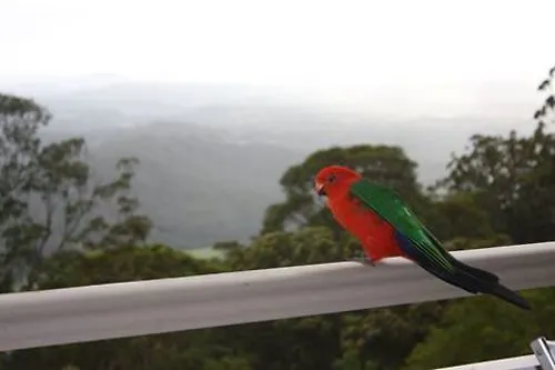 At Sunrise Cottages Montville 4*,  Australia